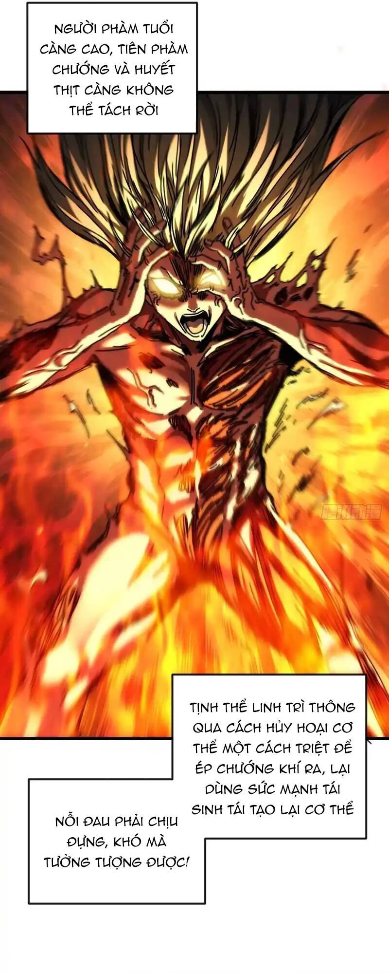 Ta Mô Phỏng Trường Sinh Lộ Chapter 22 - Trang 2