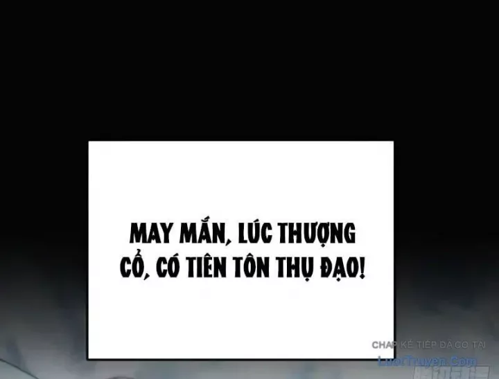 Ta Mô Phỏng Trường Sinh Lộ Chapter 23 - Trang 2