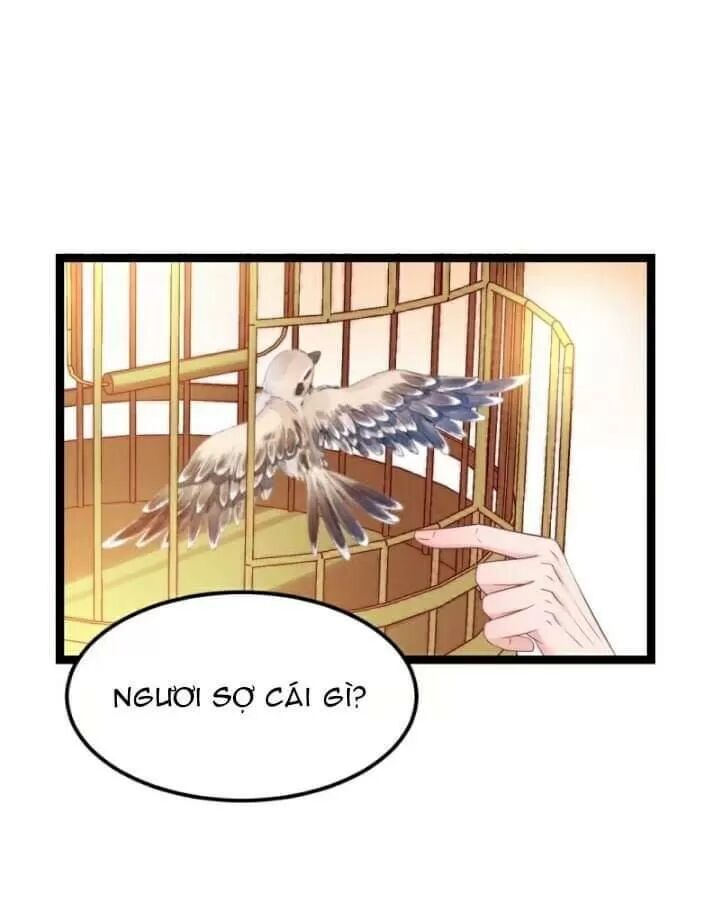 Ta Mới Không Gả Cho Hoàng Tử Phản Diện Chapter 11 - Trang 2