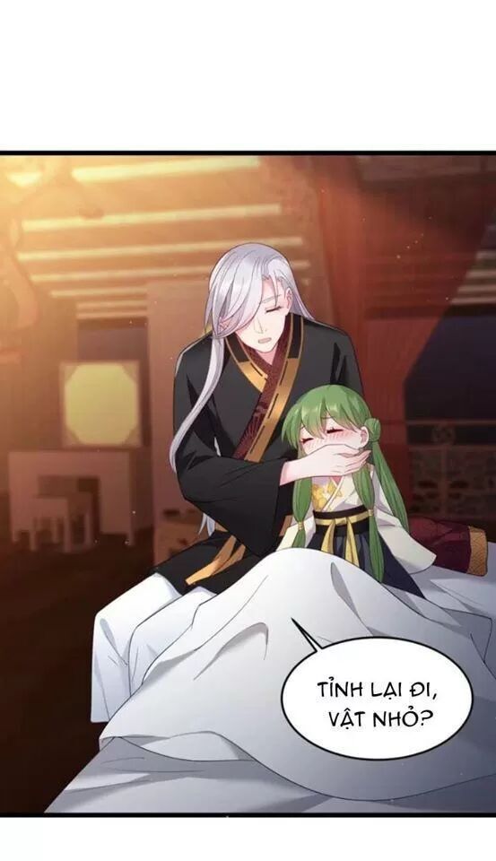 Ta Mới Không Gả Cho Hoàng Tử Phản Diện Chapter 3 - Trang 2