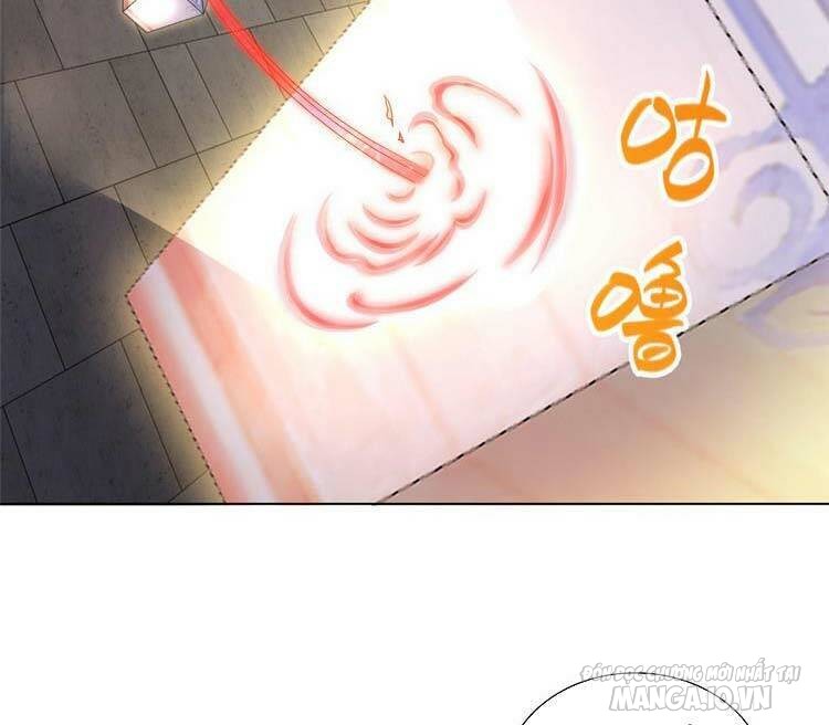 Ta Muốn An Tĩnh, Hệ Thống Lại Bắt Ta Tìm Chết Chapter 16 - Trang 2