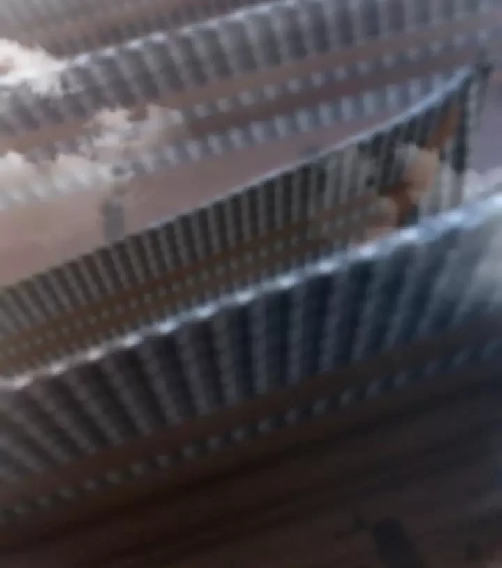 Ta Nắm Thóp Được Khí Vận Chi Tử Chapter 34 - Trang 2