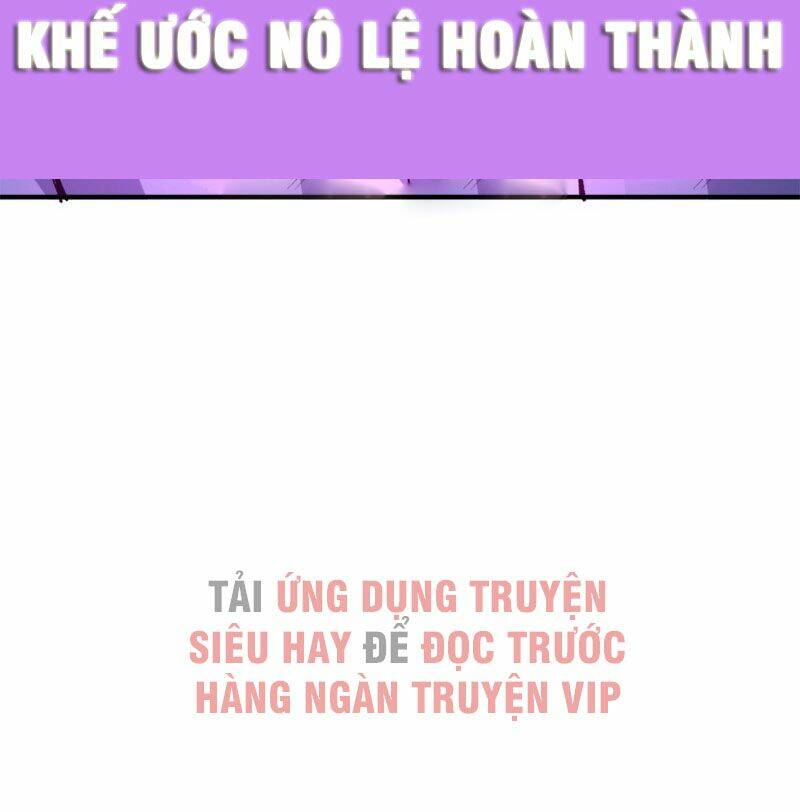 Ta Nhặt Được Thuộc Tính Tại Tu Chân Giới Chapter 40 - Trang 2