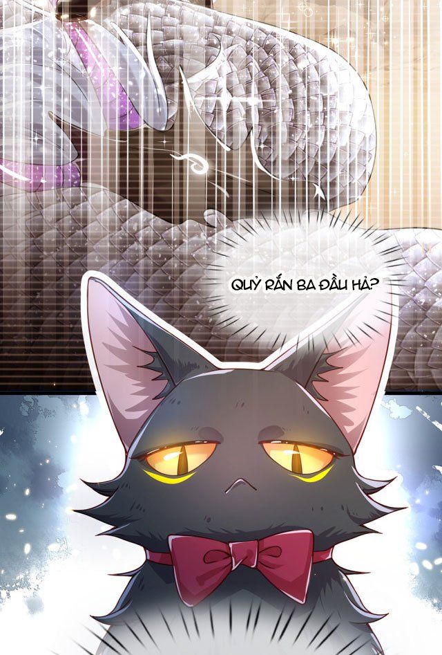 Ta, Nữ Hoàng Edith Chapter 20 - Trang 2