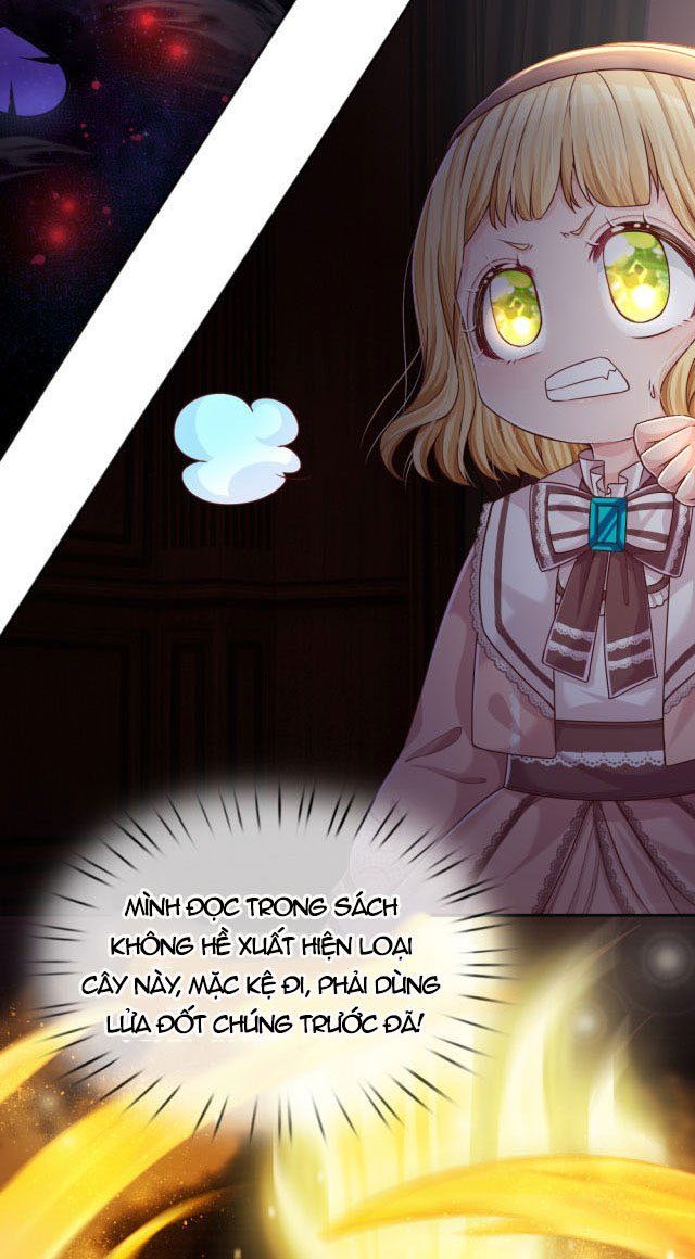 Ta, Nữ Hoàng Edith Chapter 30 - Trang 2