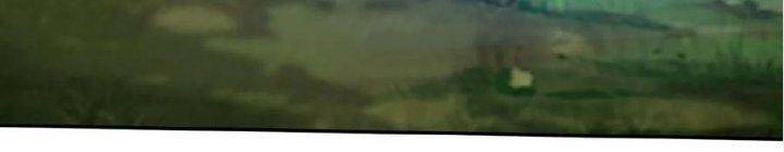 Ta Nuôi Quỷ Ở Trấn Ma Ty Chapter 162 - Trang 2