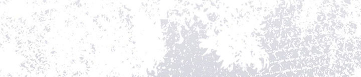 Ta Ở Cổ Đại Nuôi Nam Nhân Chapter 6 - Trang 2