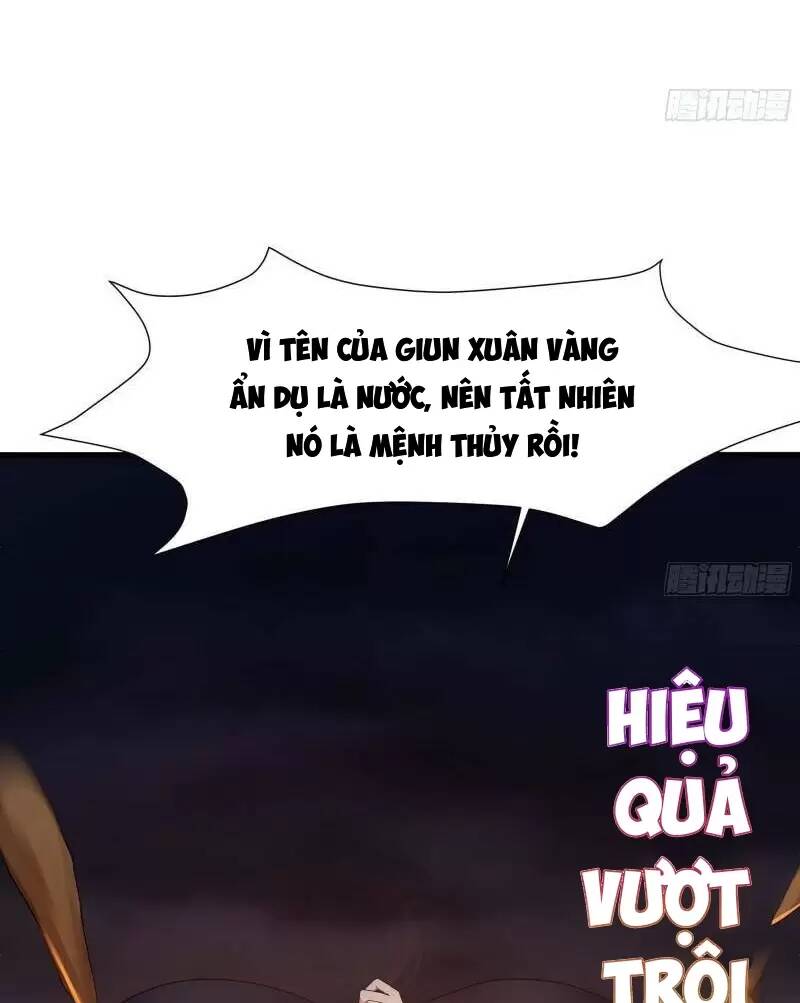 Ta Ở Địa Phủ Mở Hậu Cung Chapter 24 - Trang 2