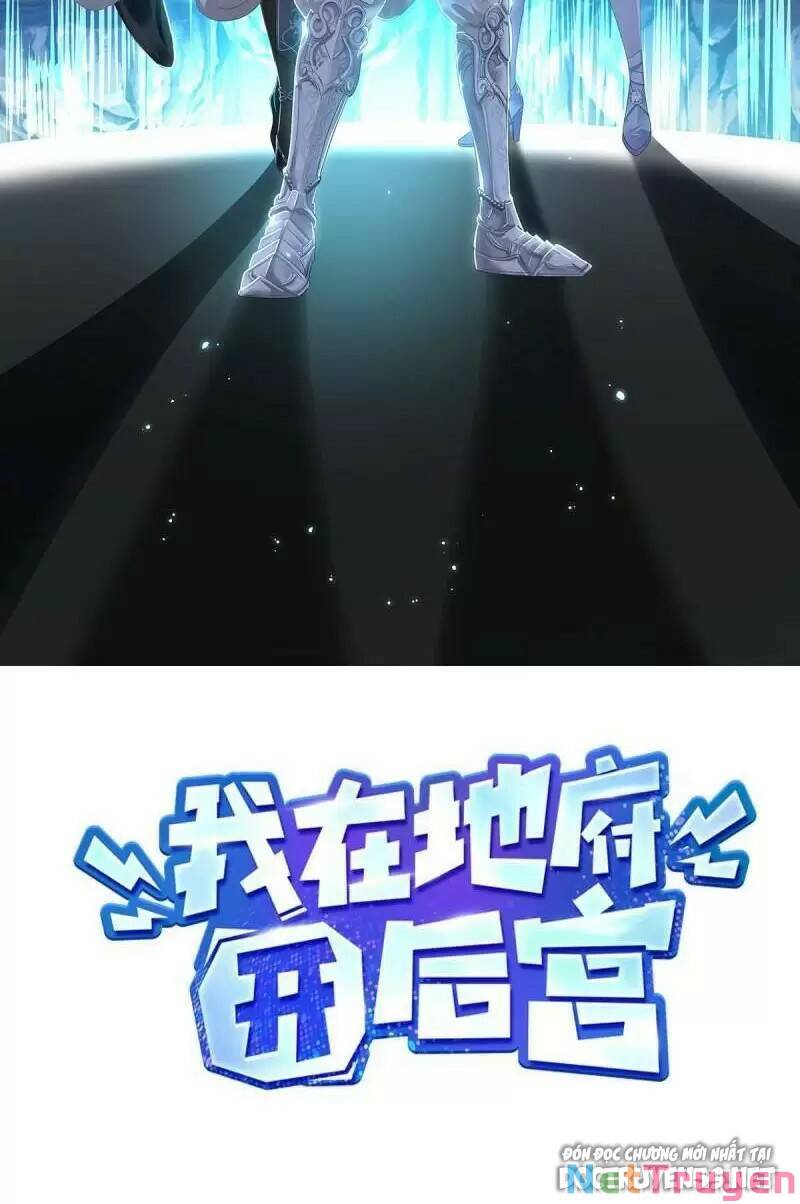 Ta Ở Địa Phủ Mở Hậu Cung Chapter 39 - Trang 2