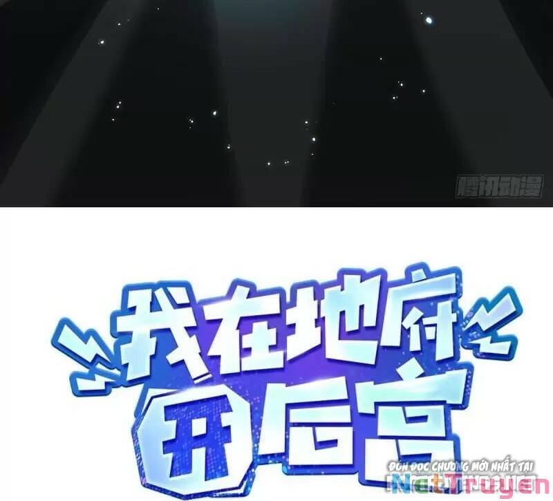 Ta Ở Địa Phủ Mở Hậu Cung Chapter 41 - Trang 2