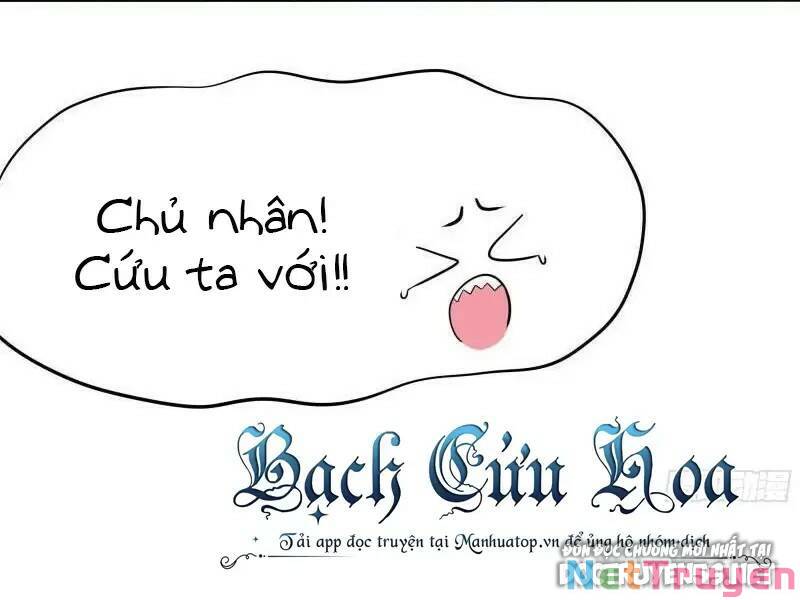 Ta Ở Địa Phủ Mở Hậu Cung Chapter 41 - Trang 2