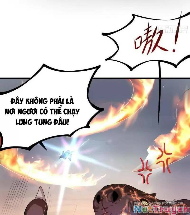 Ta Ở Địa Phủ Mở Hậu Cung Chapter 41 - Trang 2