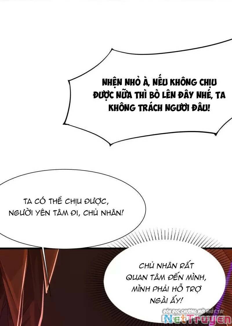 Ta Ở Địa Phủ Mở Hậu Cung Chapter 41 - Trang 2