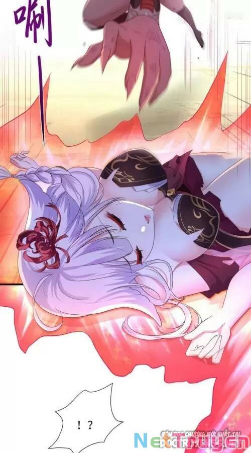 Ta Ở Địa Phủ Mở Hậu Cung Chapter 46 - Trang 2