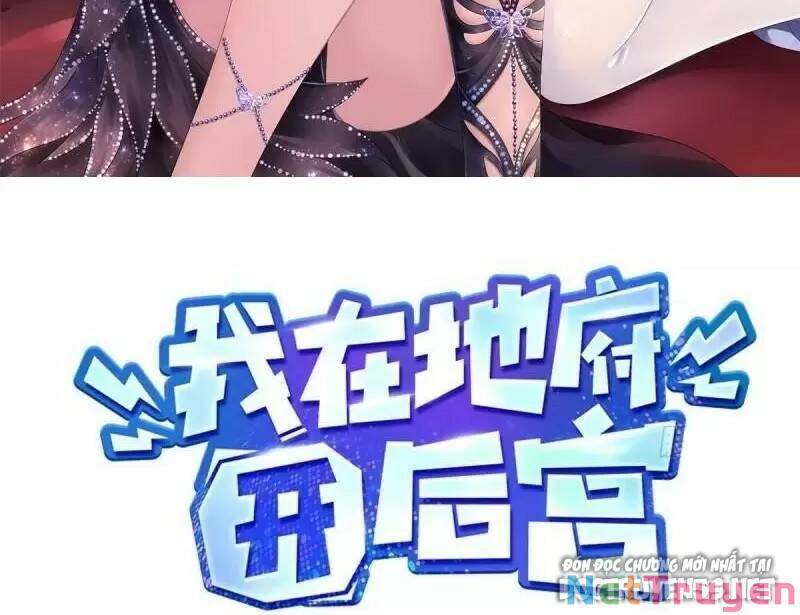 Ta Ở Địa Phủ Mở Hậu Cung Chapter 47 - Trang 2