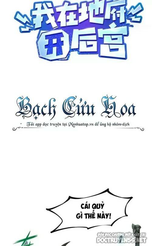 Ta Ở Địa Phủ Mở Hậu Cung Chapter 53 - Trang 2