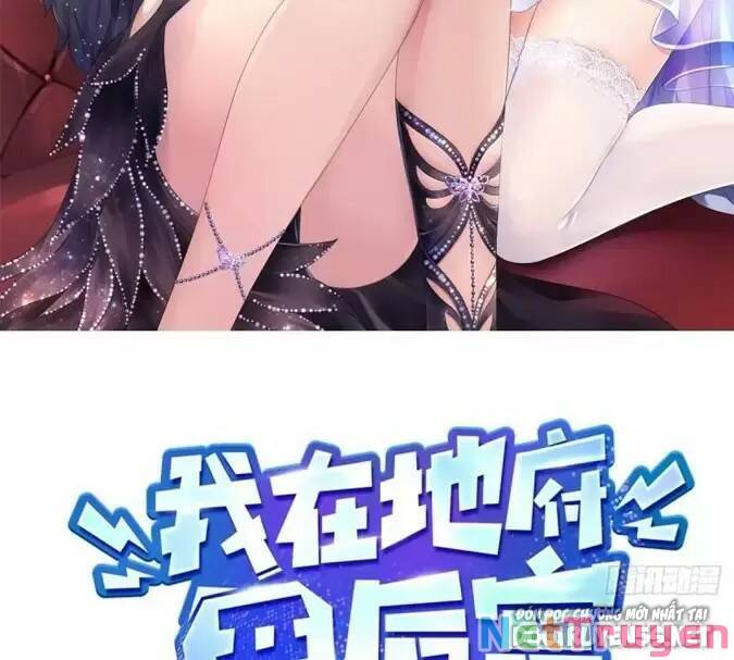 Ta Ở Địa Phủ Mở Hậu Cung Chapter 66 - Trang 2