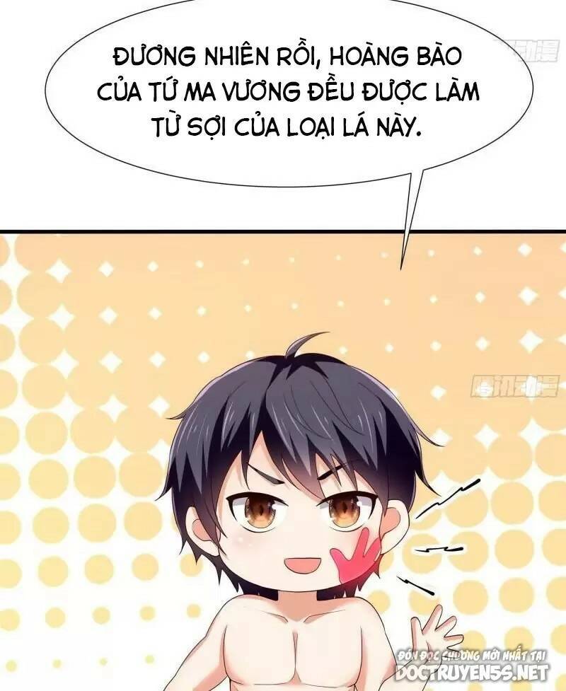 Ta Ở Địa Phủ Mở Hậu Cung Chapter 75 - Trang 2