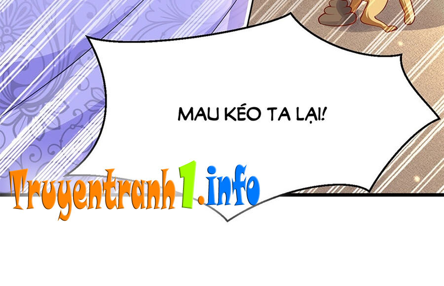 Ta Ở Hậu Cung Làm Lão Đại Chapter 10 - Trang 2