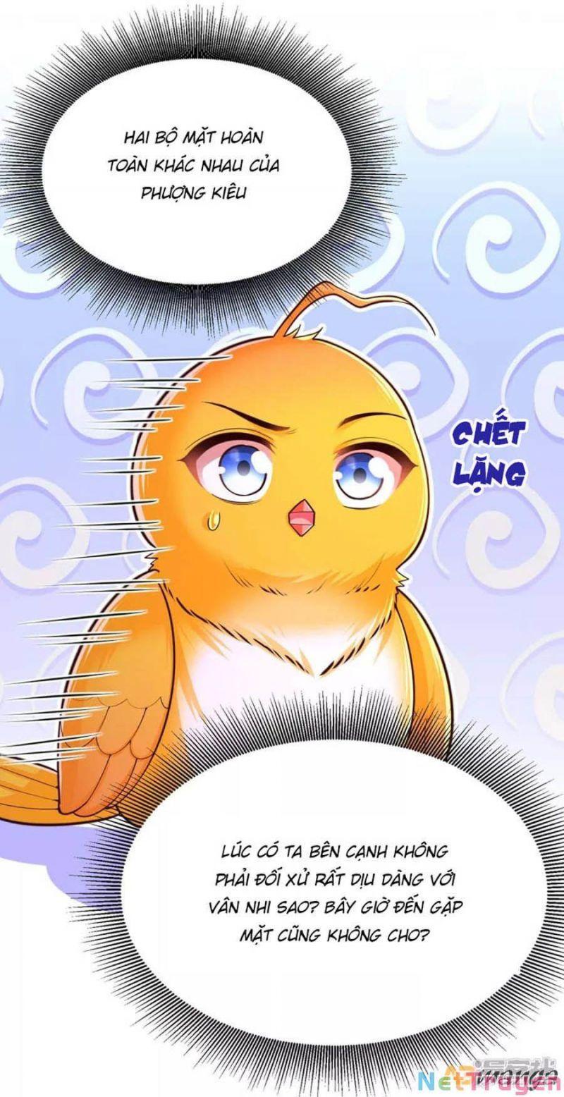 Ta Ở Hậu Cung Làm Lão Đại Chapter 101 - Trang 2