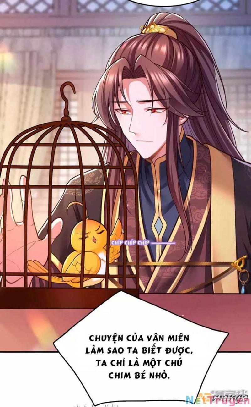 Ta Ở Hậu Cung Làm Lão Đại Chapter 101 - Trang 2