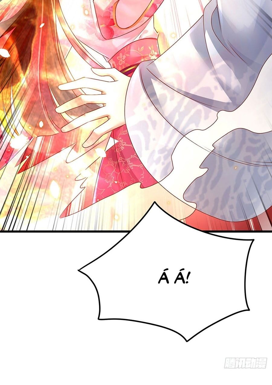 Ta Ở Hậu Cung Làm Lão Đại Chapter 12 - Trang 2