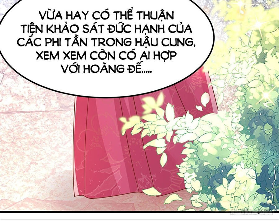 Ta Ở Hậu Cung Làm Lão Đại Chapter 12 - Trang 2