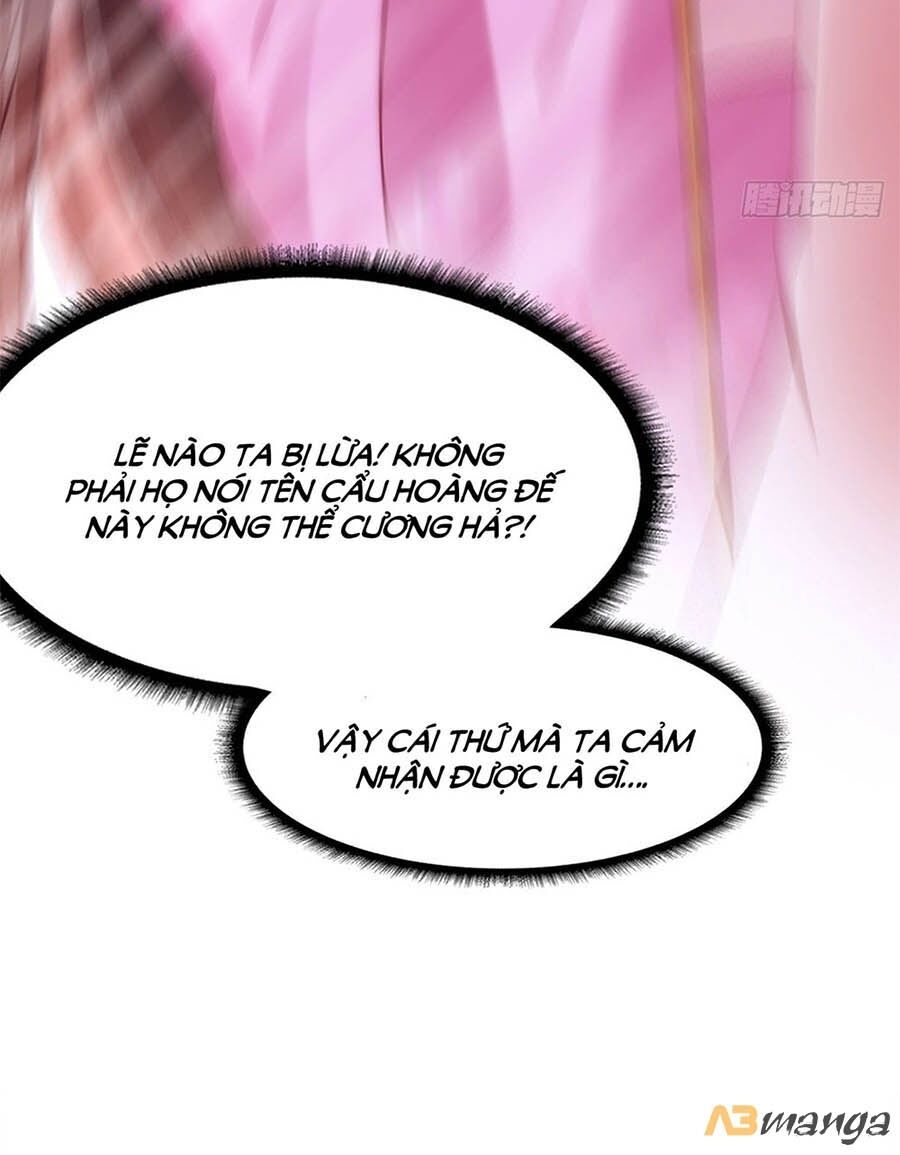 Ta Ở Hậu Cung Làm Lão Đại Chapter 18 - Trang 2