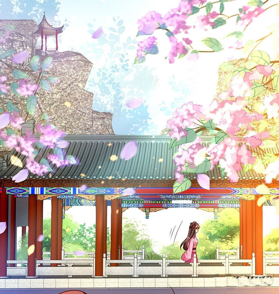 Ta Ở Hậu Cung Làm Lão Đại Chapter 19 - Trang 2