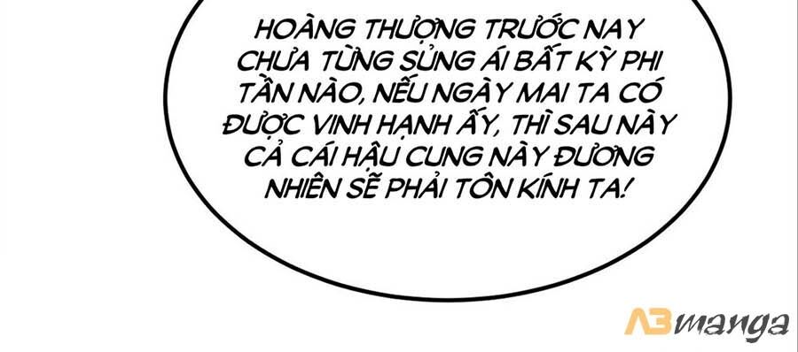 Ta Ở Hậu Cung Làm Lão Đại Chapter 20 - Trang 2