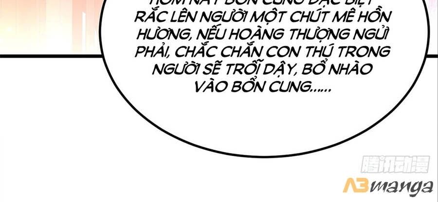 Ta Ở Hậu Cung Làm Lão Đại Chapter 20 - Trang 2