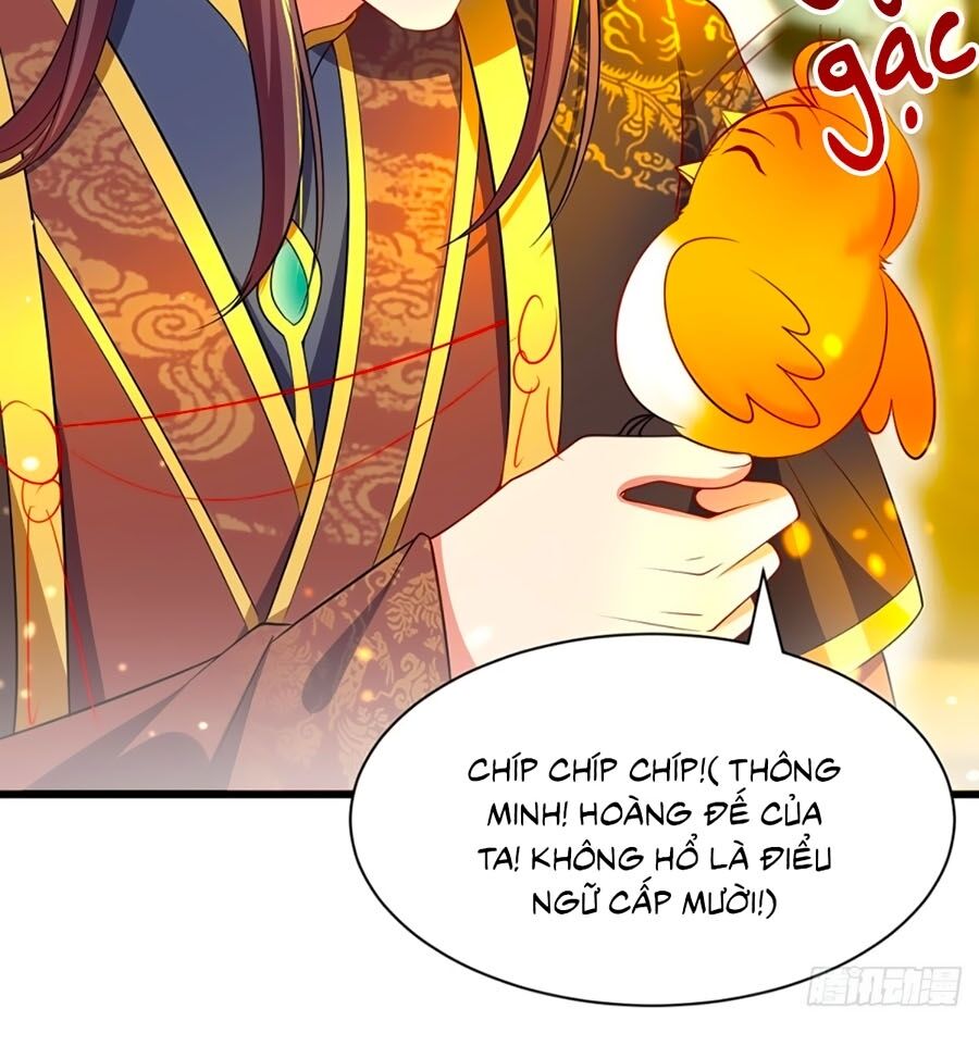 Ta Ở Hậu Cung Làm Lão Đại Chapter 3 - Trang 2