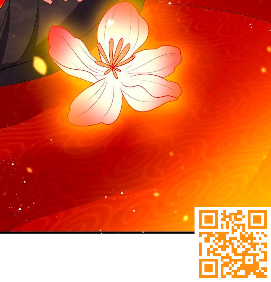 Ta Ở Hậu Cung Làm Lão Đại Chapter 4 - Trang 2