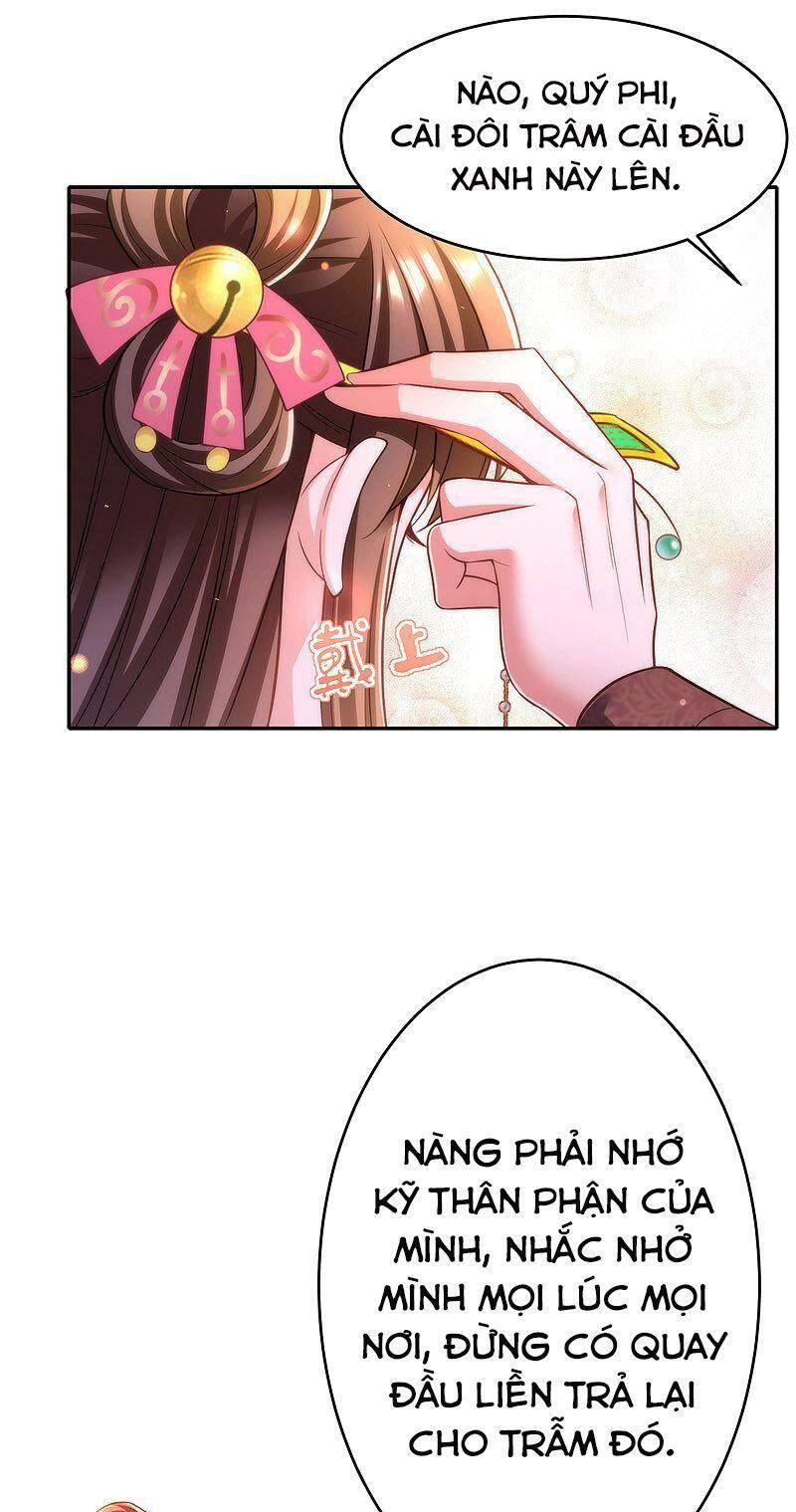 Ta Ở Hậu Cung Làm Lão Đại Chapter 42 - Trang 2