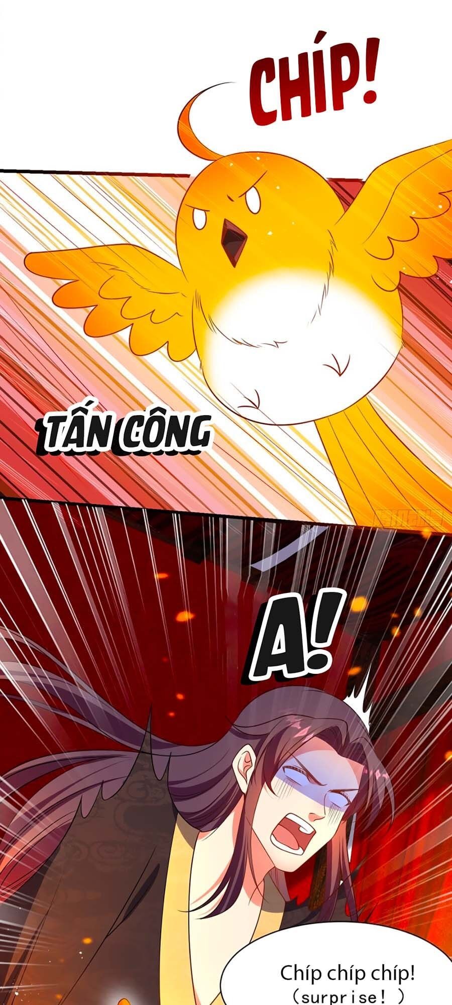 Ta Ở Hậu Cung Làm Lão Đại Chapter 5 - Trang 2