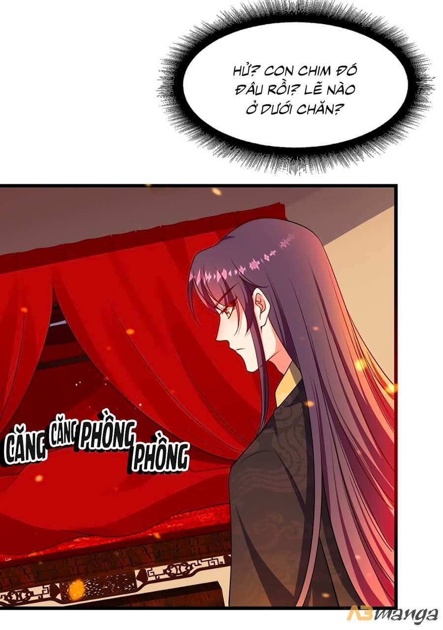 Ta Ở Hậu Cung Làm Lão Đại Chapter 5 - Trang 2