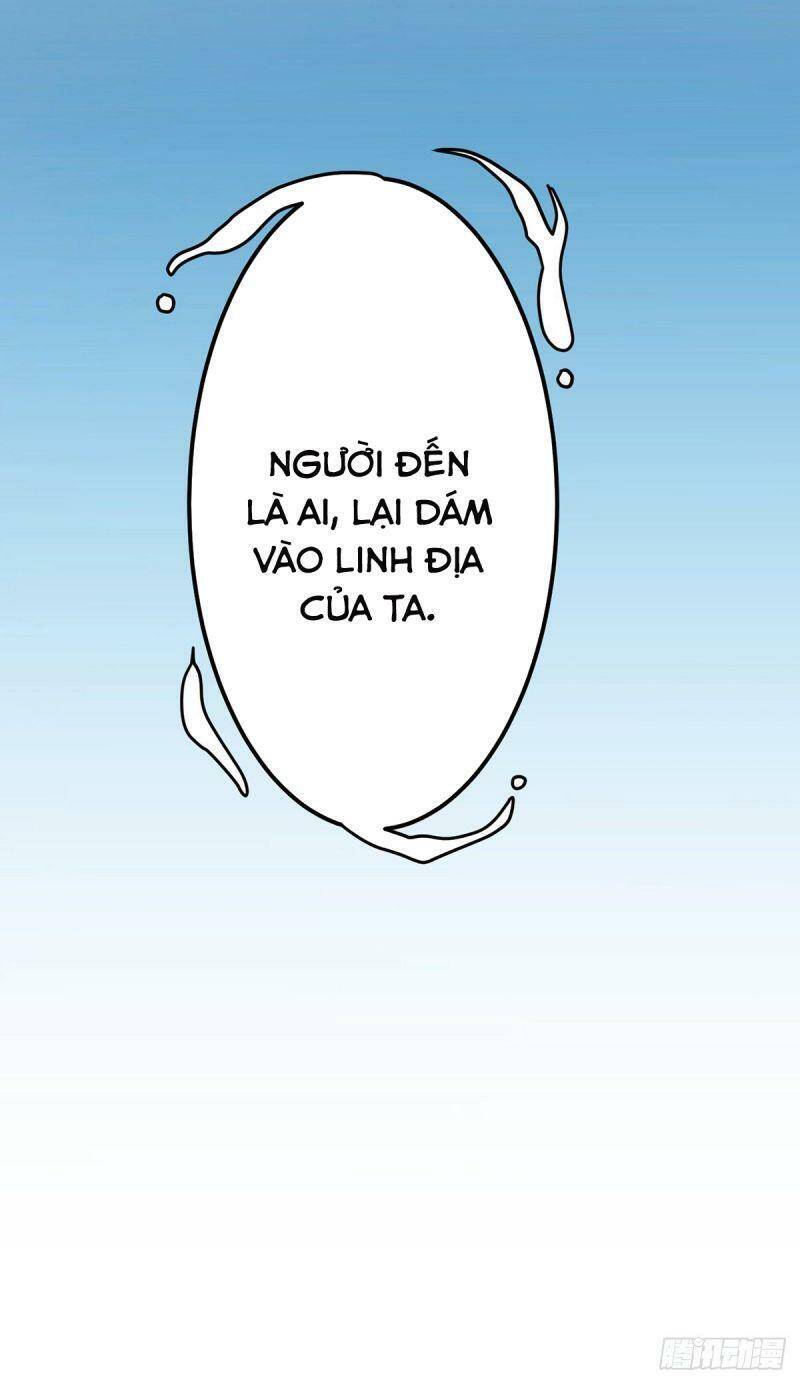 Ta Ở Hậu Cung Làm Lão Đại Chapter 53 - Trang 2