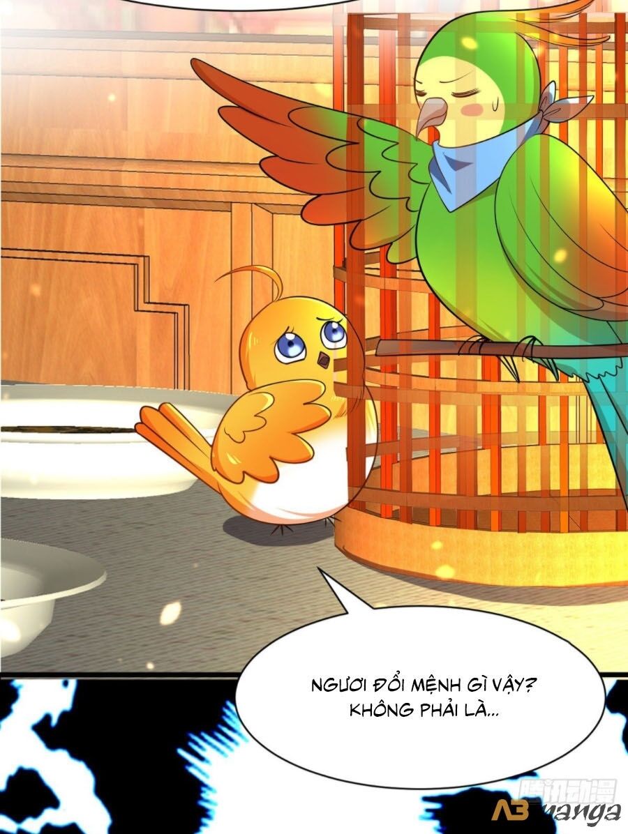 Ta Ở Hậu Cung Làm Lão Đại Chapter 7 - Trang 2