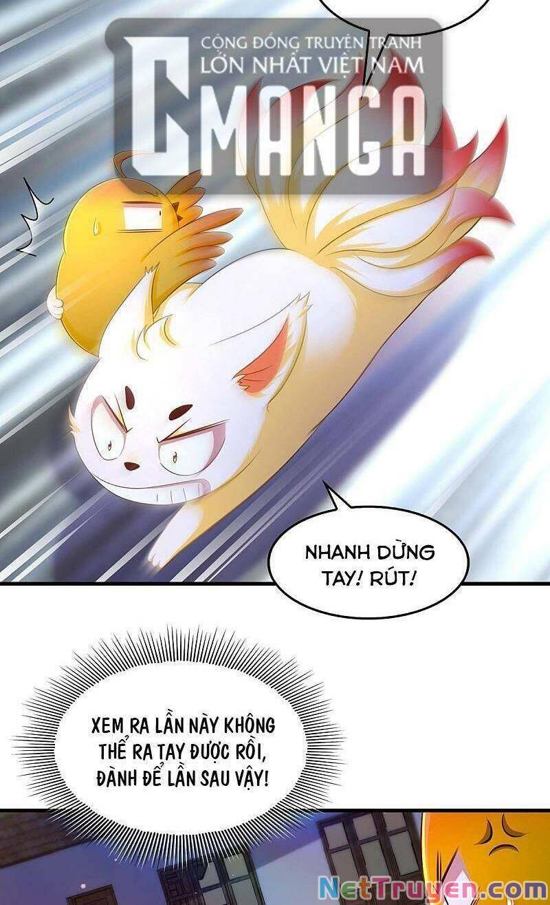 Ta Ở Hậu Cung Làm Lão Đại Chapter 73 - Trang 2