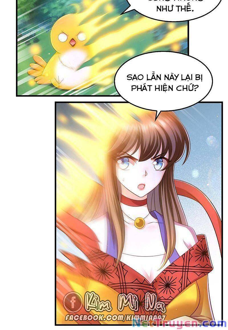 Ta Ở Hậu Cung Làm Lão Đại Chapter 73 - Trang 2