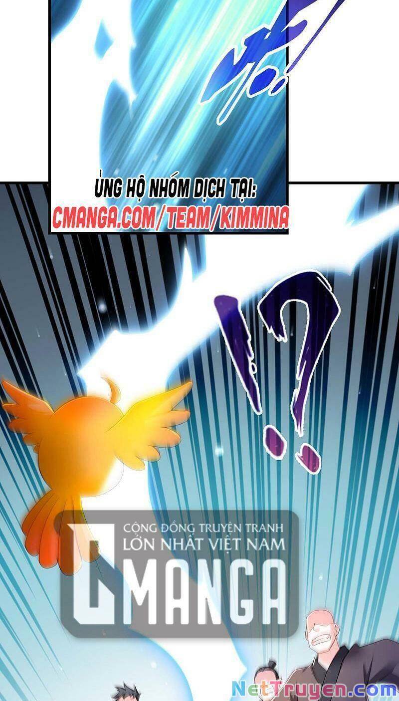 Ta Ở Hậu Cung Làm Lão Đại Chapter 73 - Trang 2