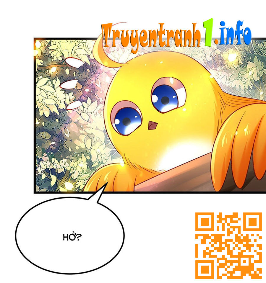 Ta Ở Hậu Cung Làm Lão Đại Chapter 9 - Trang 2