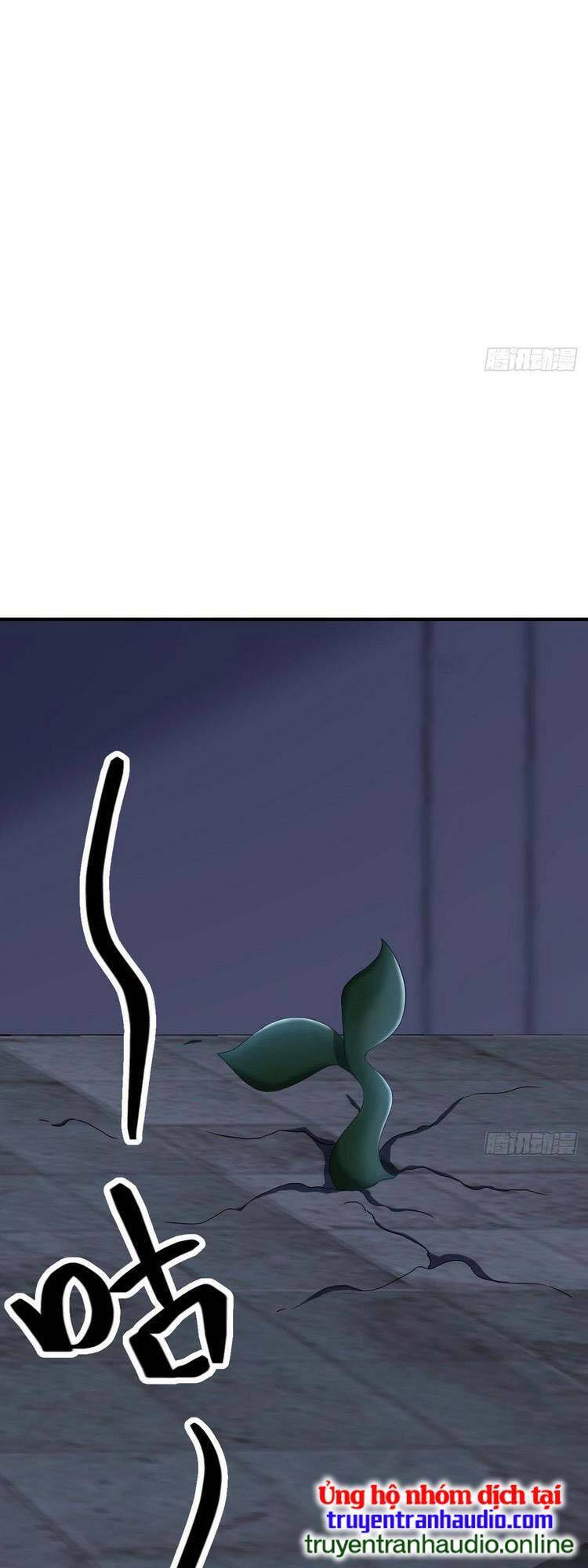 Ta Ở Nhà 100 Năm Khi Ra Ngoài Đã Vô Địch Chapter 9 - Trang 2