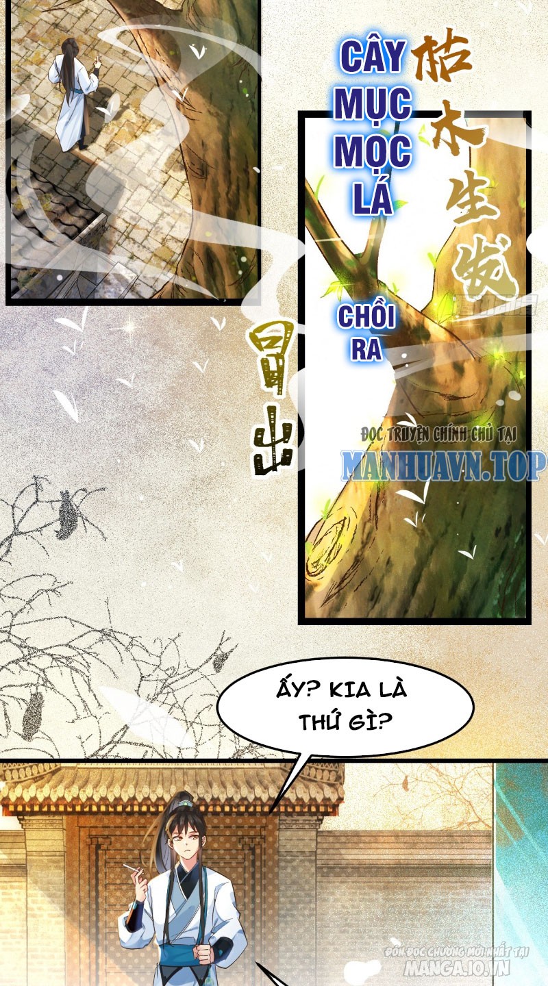 Ta Thật Không Muốn Làm Thần Tiên Chapter 1 - Trang 2