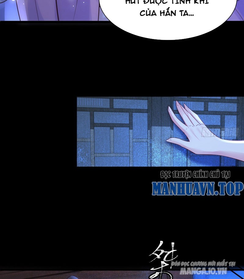 Ta Thật Không Muốn Làm Thần Tiên Chapter 2 - Trang 2