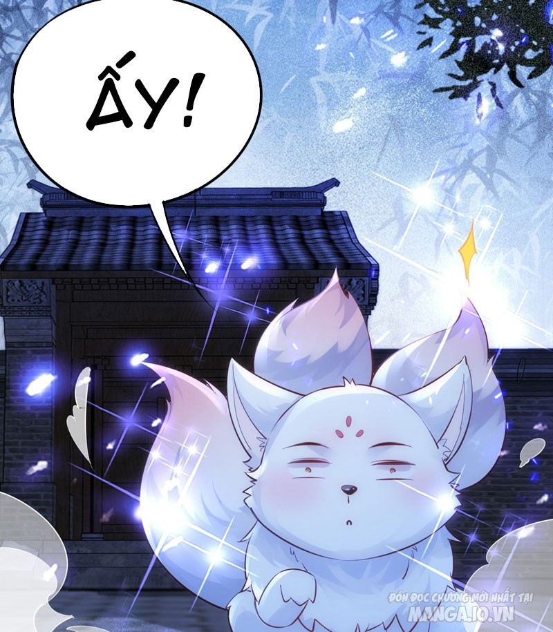 Ta Thật Không Muốn Làm Thần Tiên Chapter 2 - Trang 2