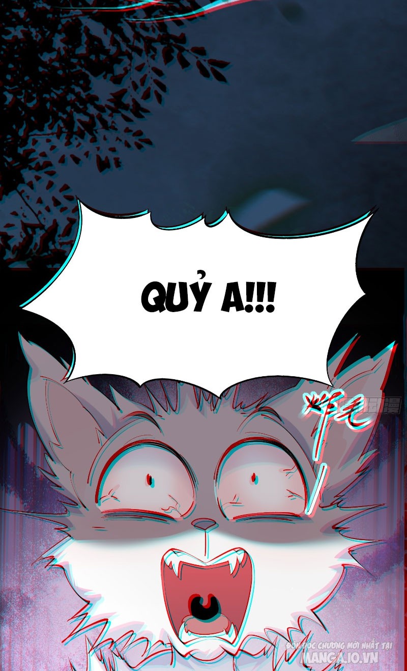 Ta Thật Không Muốn Làm Thần Tiên Chapter 3 - Trang 2