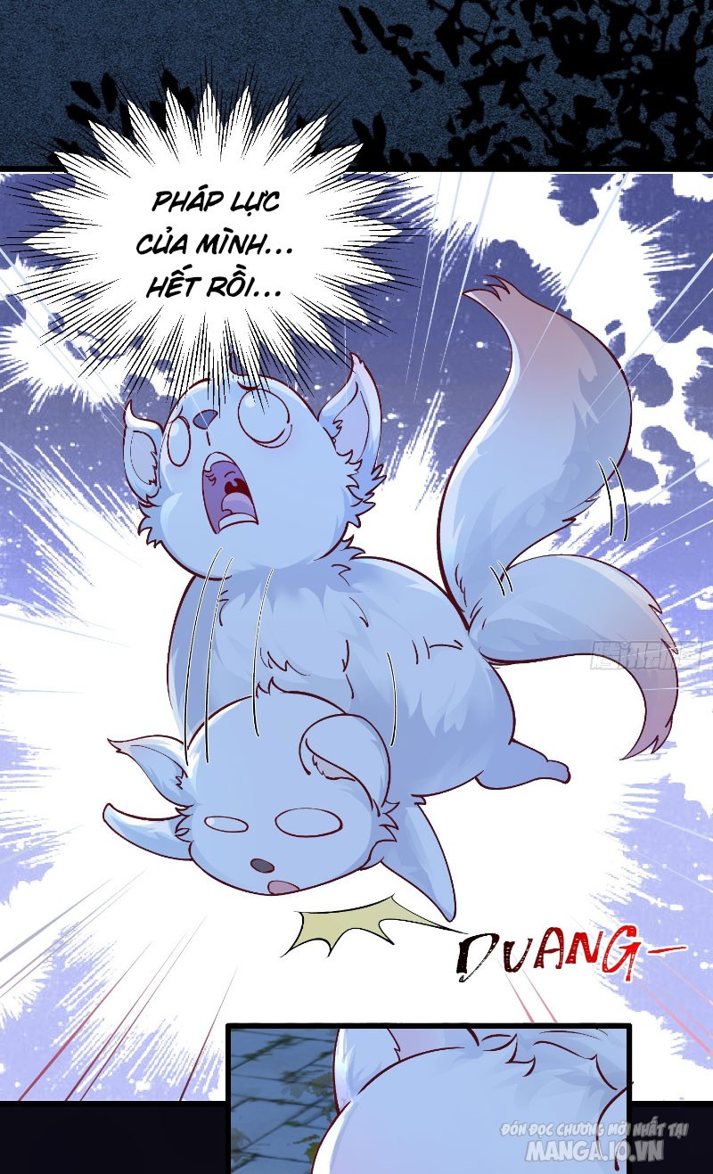 Ta Thật Không Muốn Làm Thần Tiên Chapter 3 - Trang 2