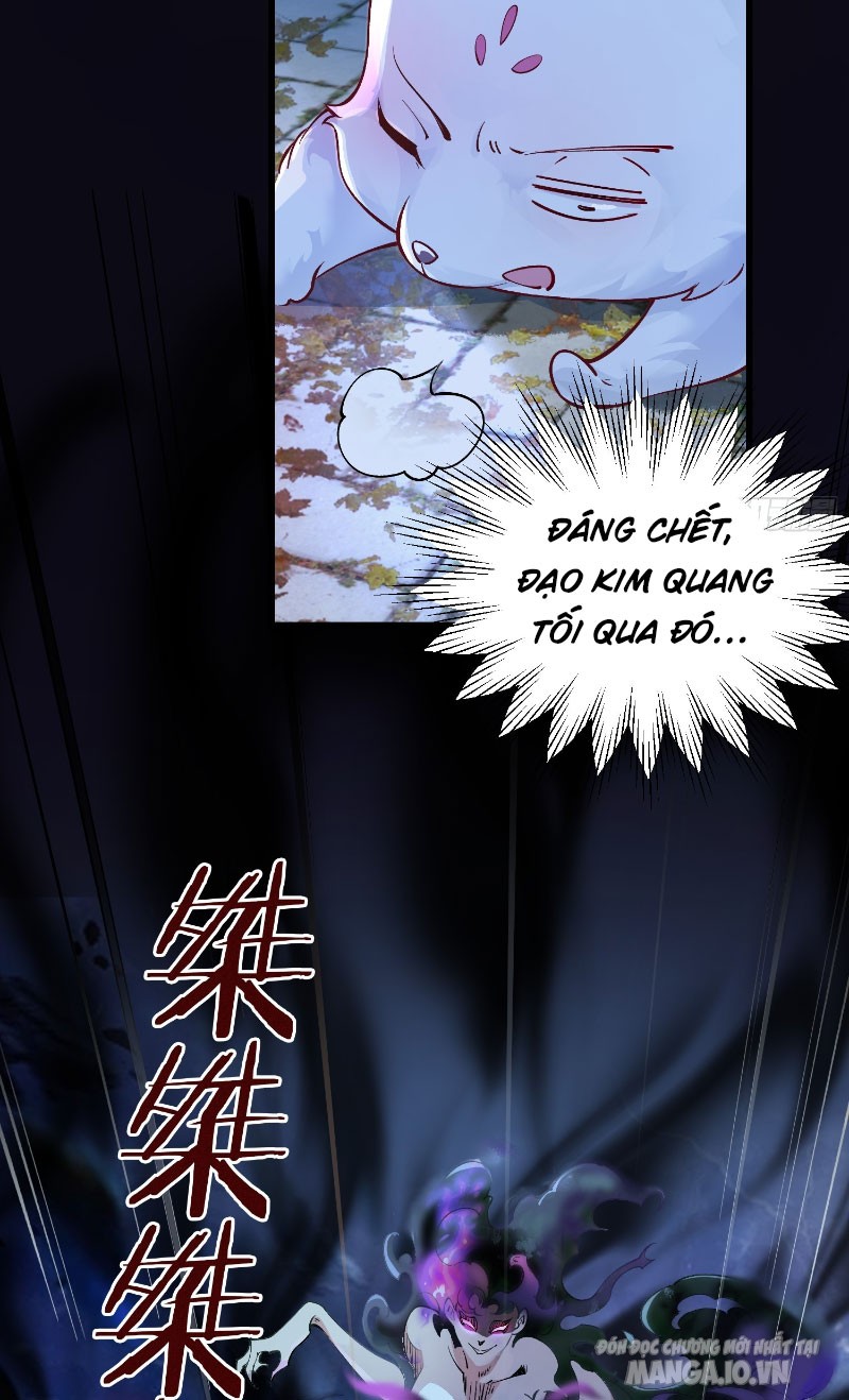 Ta Thật Không Muốn Làm Thần Tiên Chapter 3 - Trang 2