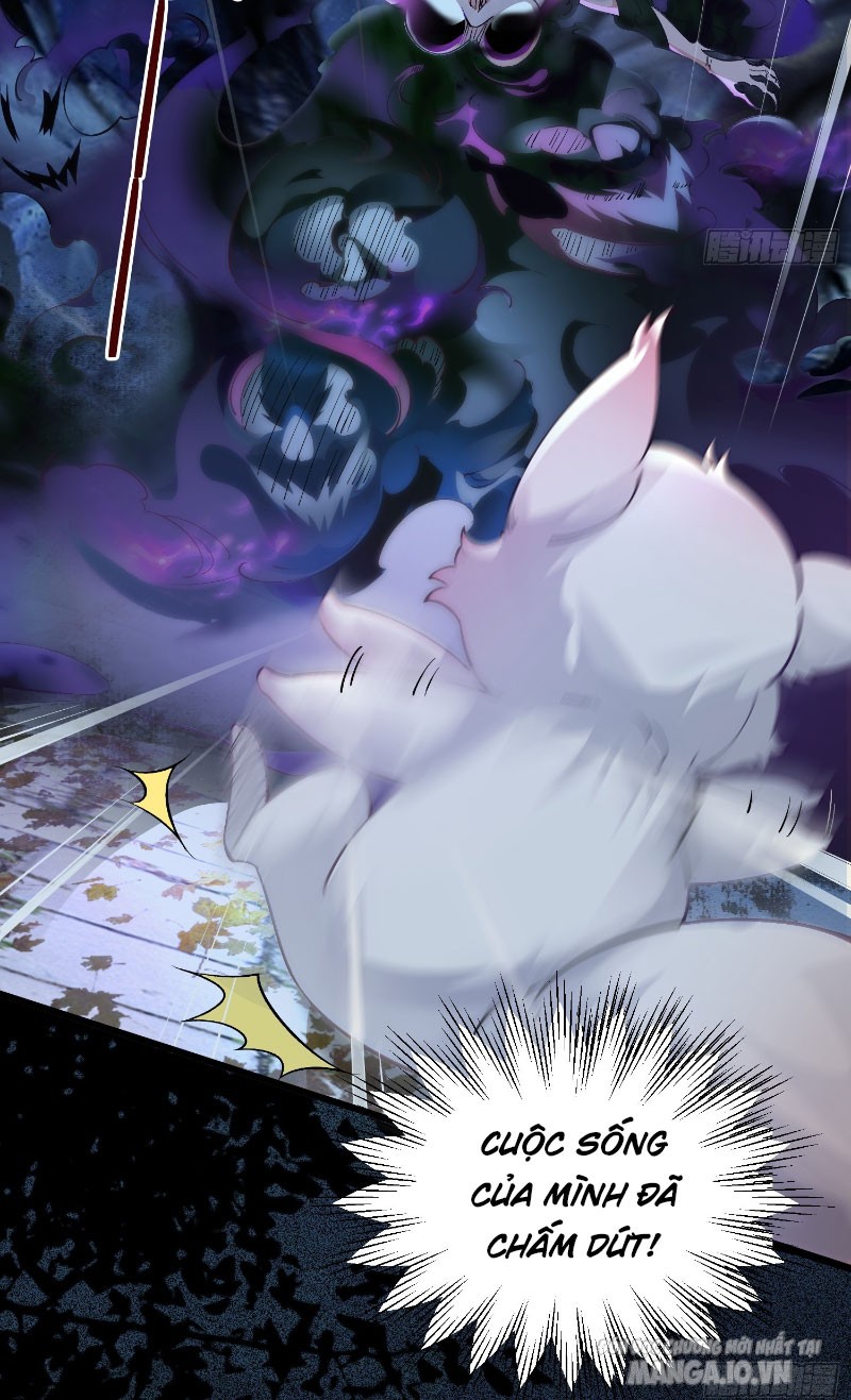 Ta Thật Không Muốn Làm Thần Tiên Chapter 3 - Trang 2